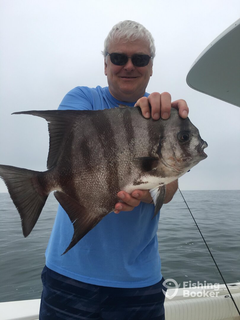 Virginia Beach Report Photo 0