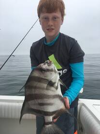 Virginia Beach Report Photo 2