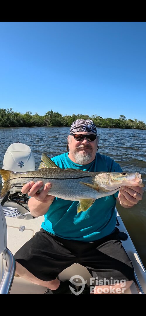 Holiday Report Photo 0