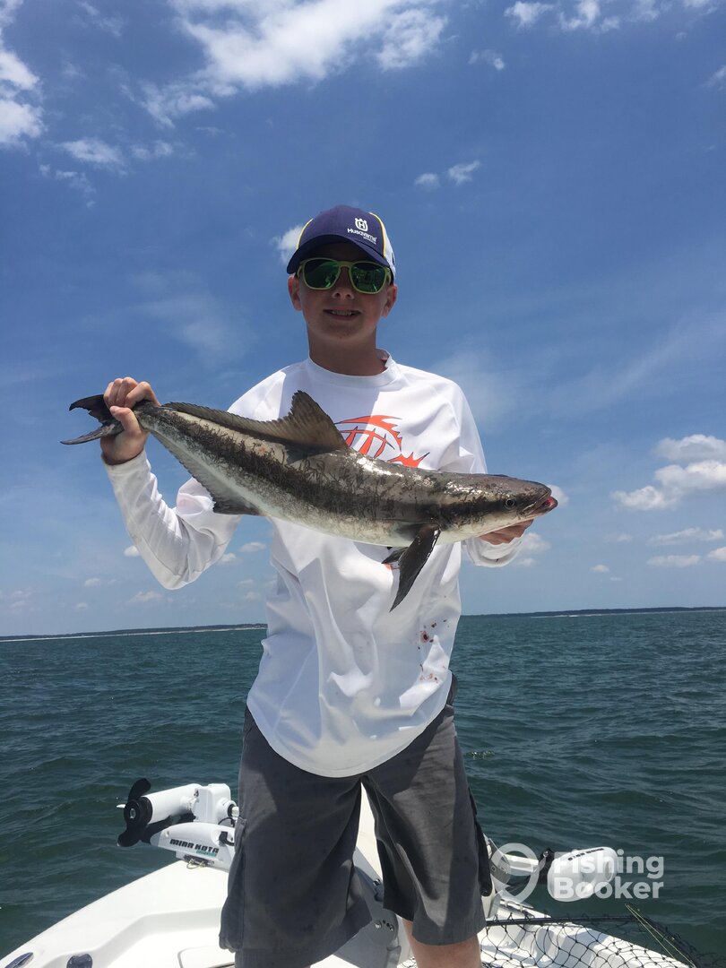 Virginia Beach Report Photo 0