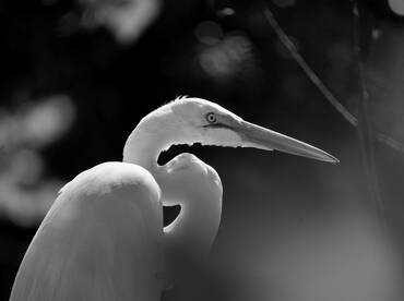 Homestead Report Photo 1