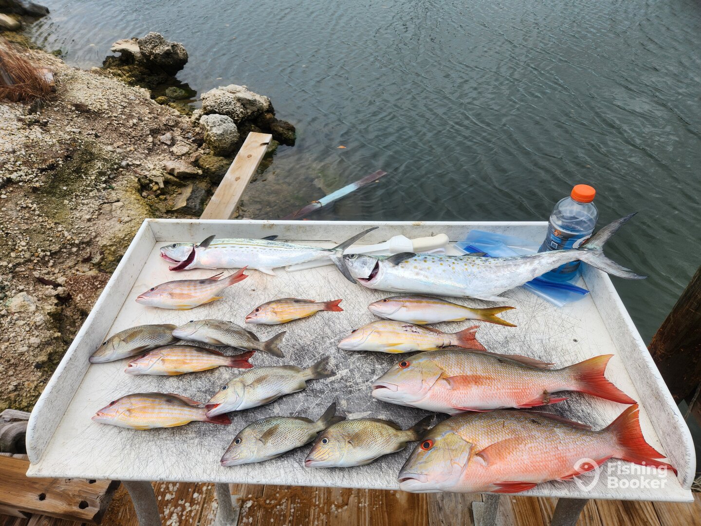 Summerland Key Report Photo 0