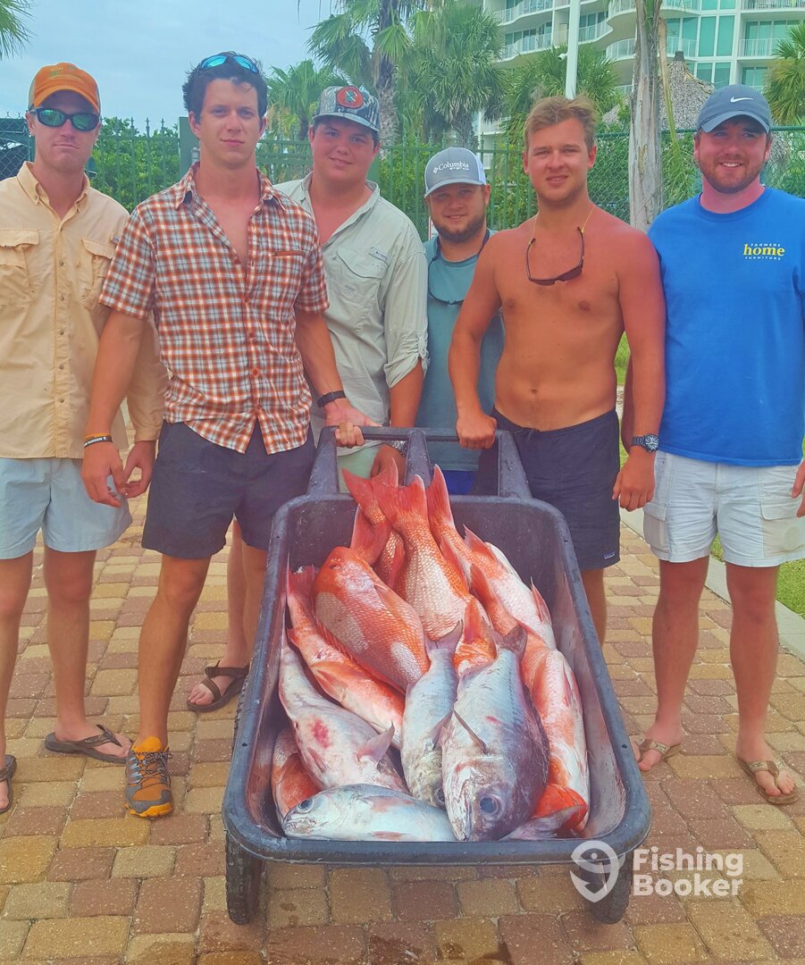 Orange Beach Report Photo 0