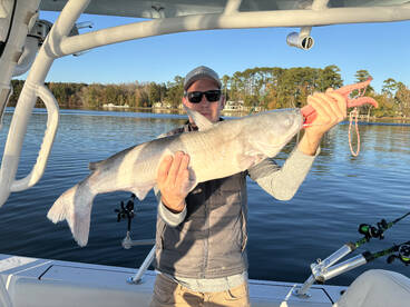 Tega Cay Report Photo 1