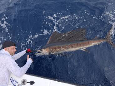 Paquera Report Photo 1