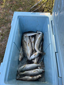 Pass Christian Report Photo 2