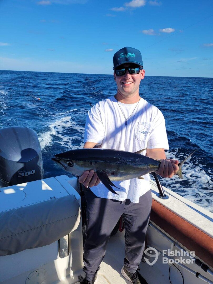 Seabrook Island Report Photo 0