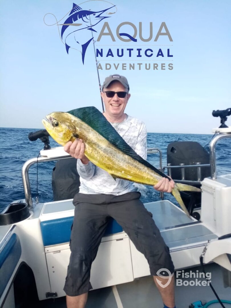 Durban Report Photo 0