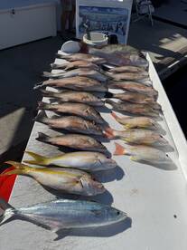 Key West Report Photo 2