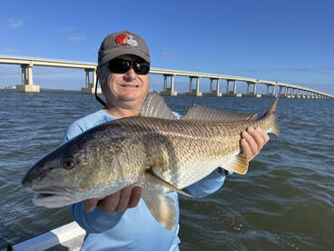 New Orleans Report Photo 2