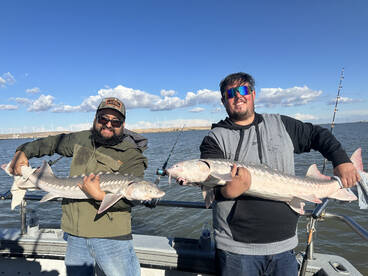 Sturgeon Fishing is Red Hot!!!