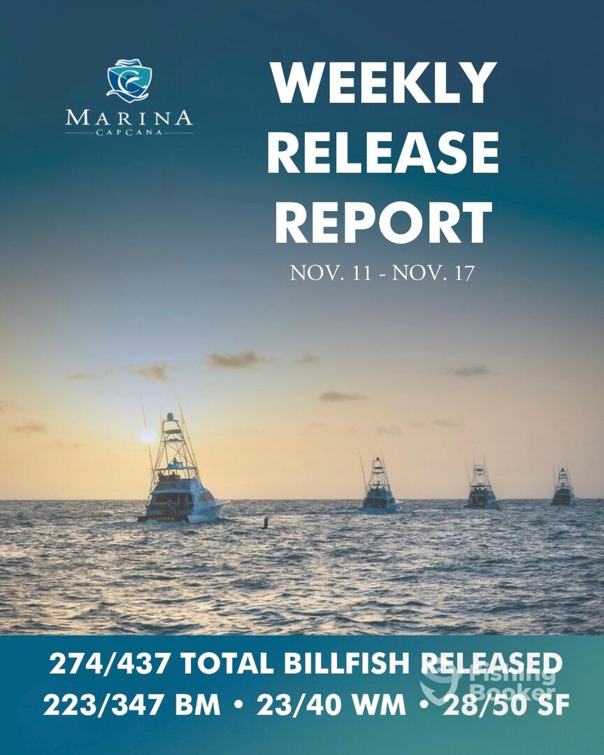 Punta Cana Report Photo 0