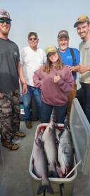 Cross Report Photo 2