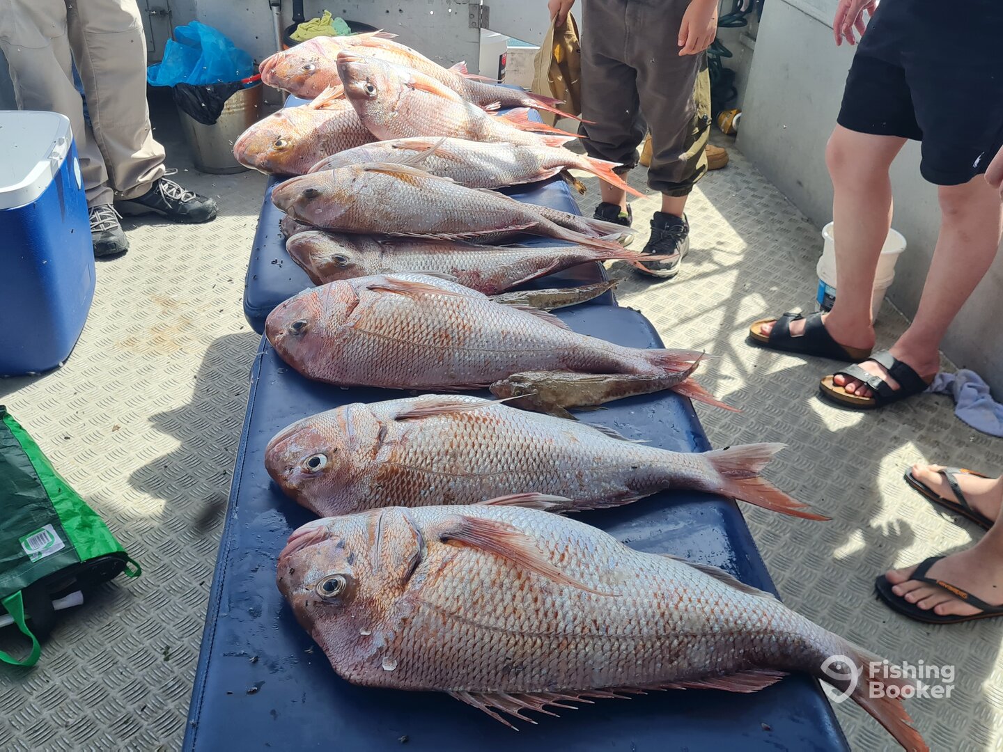 Melbourne Report Photo 0