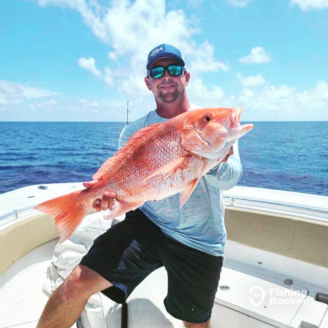 Naples Report Photo 0