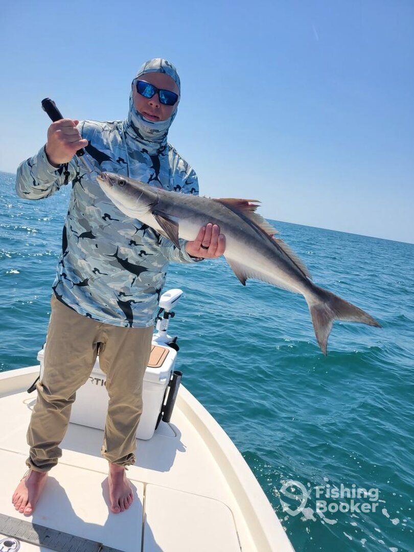 Englewood Report Photo 0