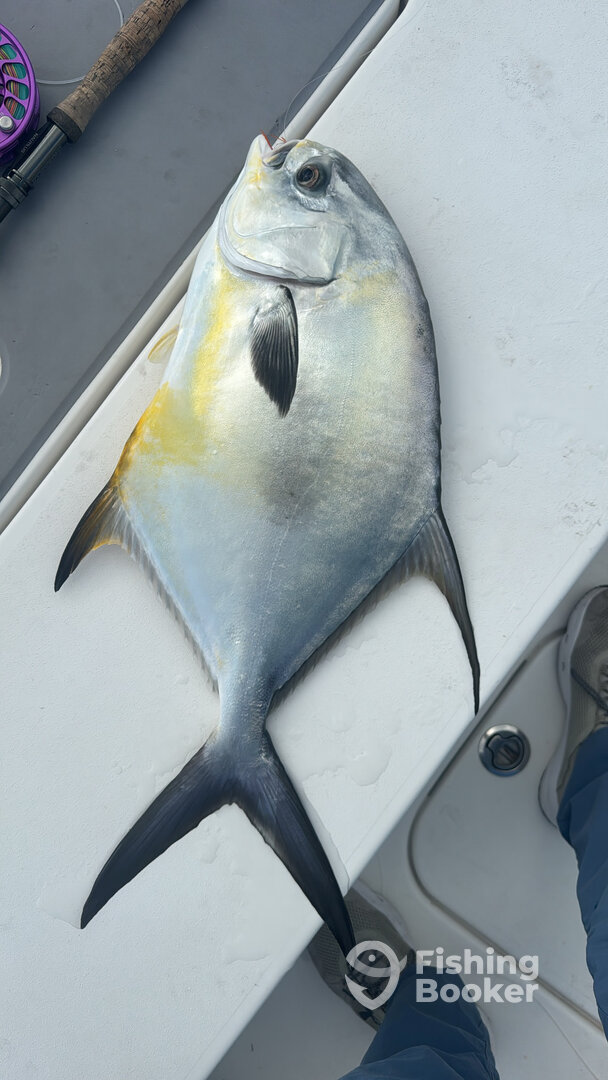 Key West Report Photo 0