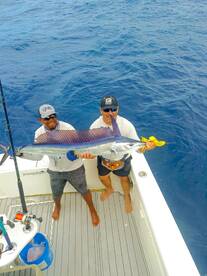 2 blue marlin and 1 spearfish today