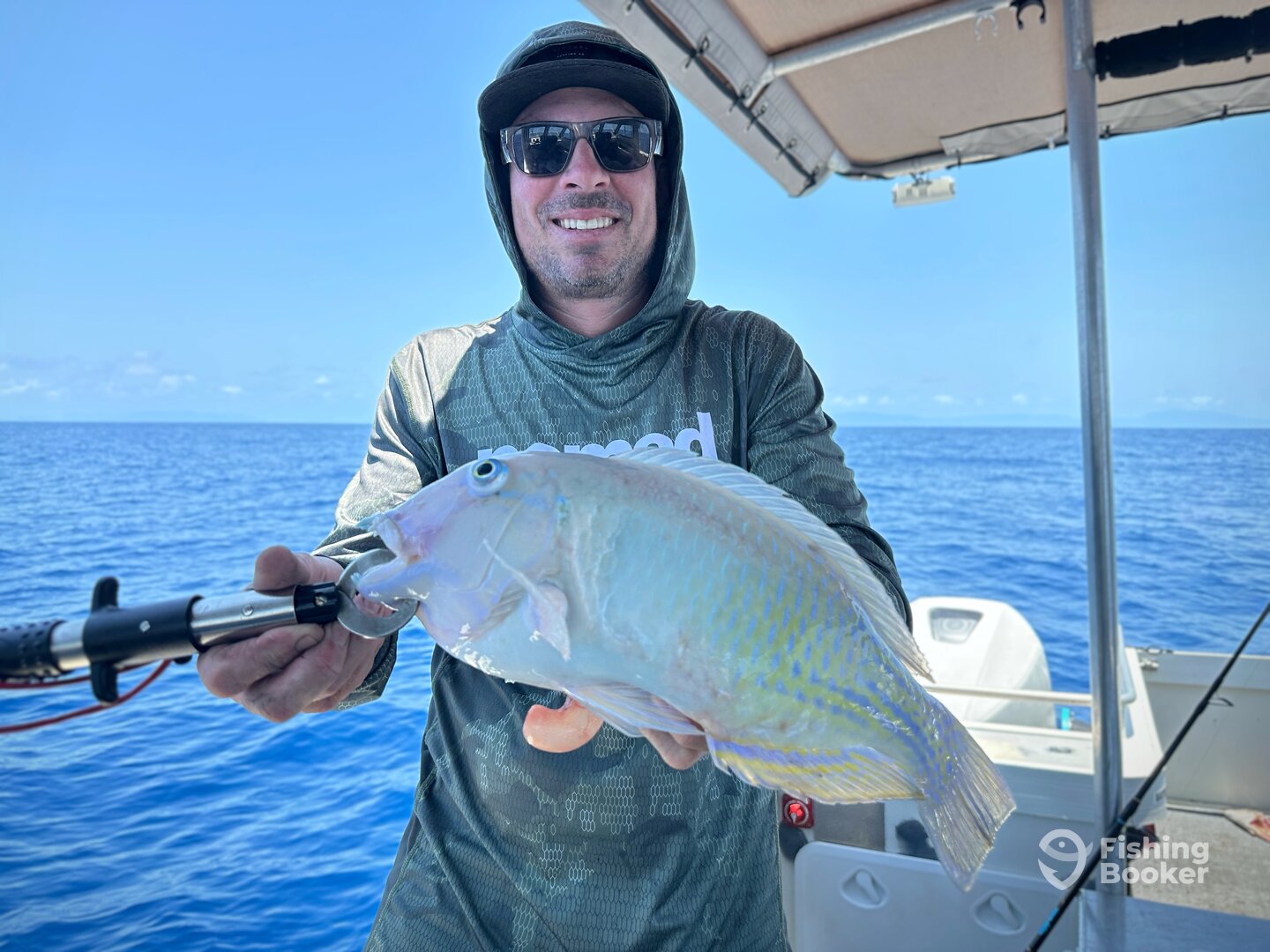 Port Douglas Report Photo 0