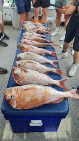 St. Kilda Report Photo 1