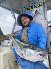 Paihia Report Photo 1