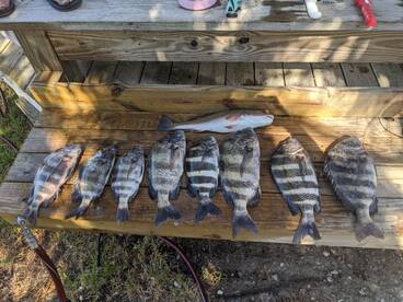 Eastpoint Report Photo 1