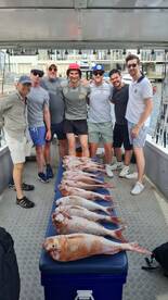 Melbourne Report Photo 1