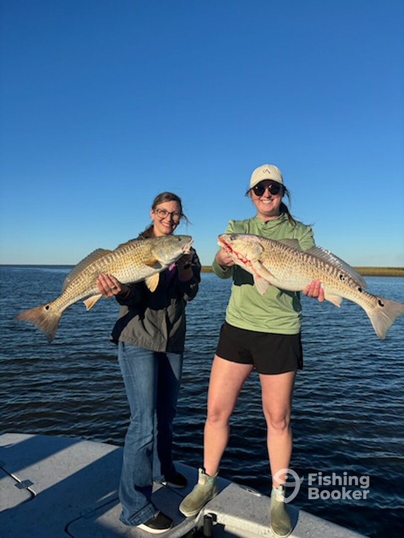 Sulphur Report Photo 0