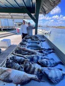 I had to buy new gear!