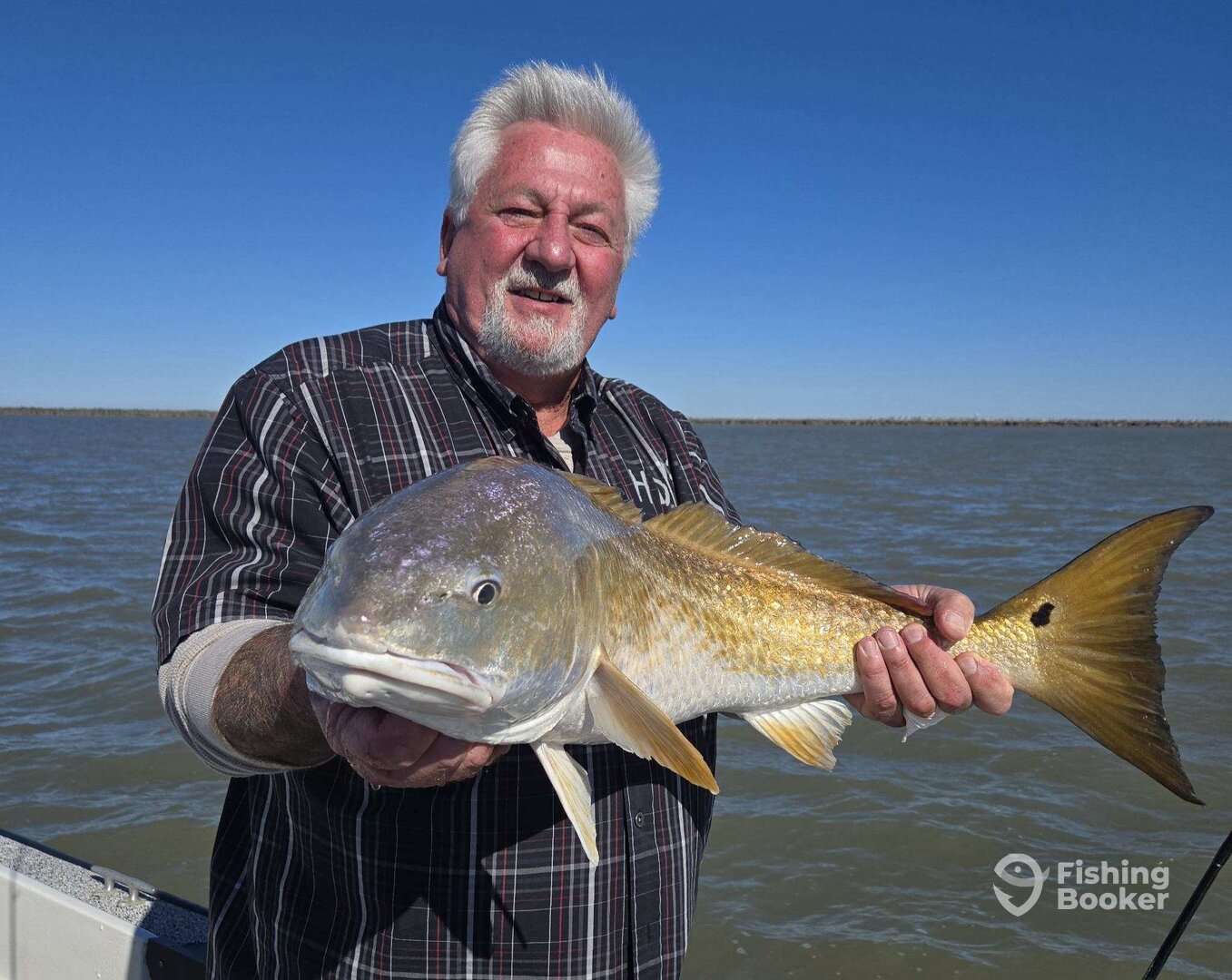 Galveston Report Photo 0