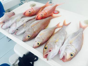 Jeddah Report Photo 1