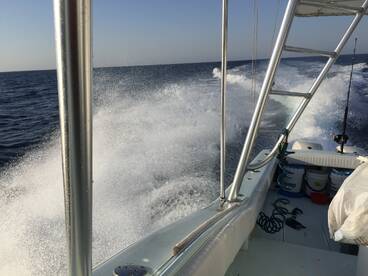 Saudi Arabia Report Photo 4