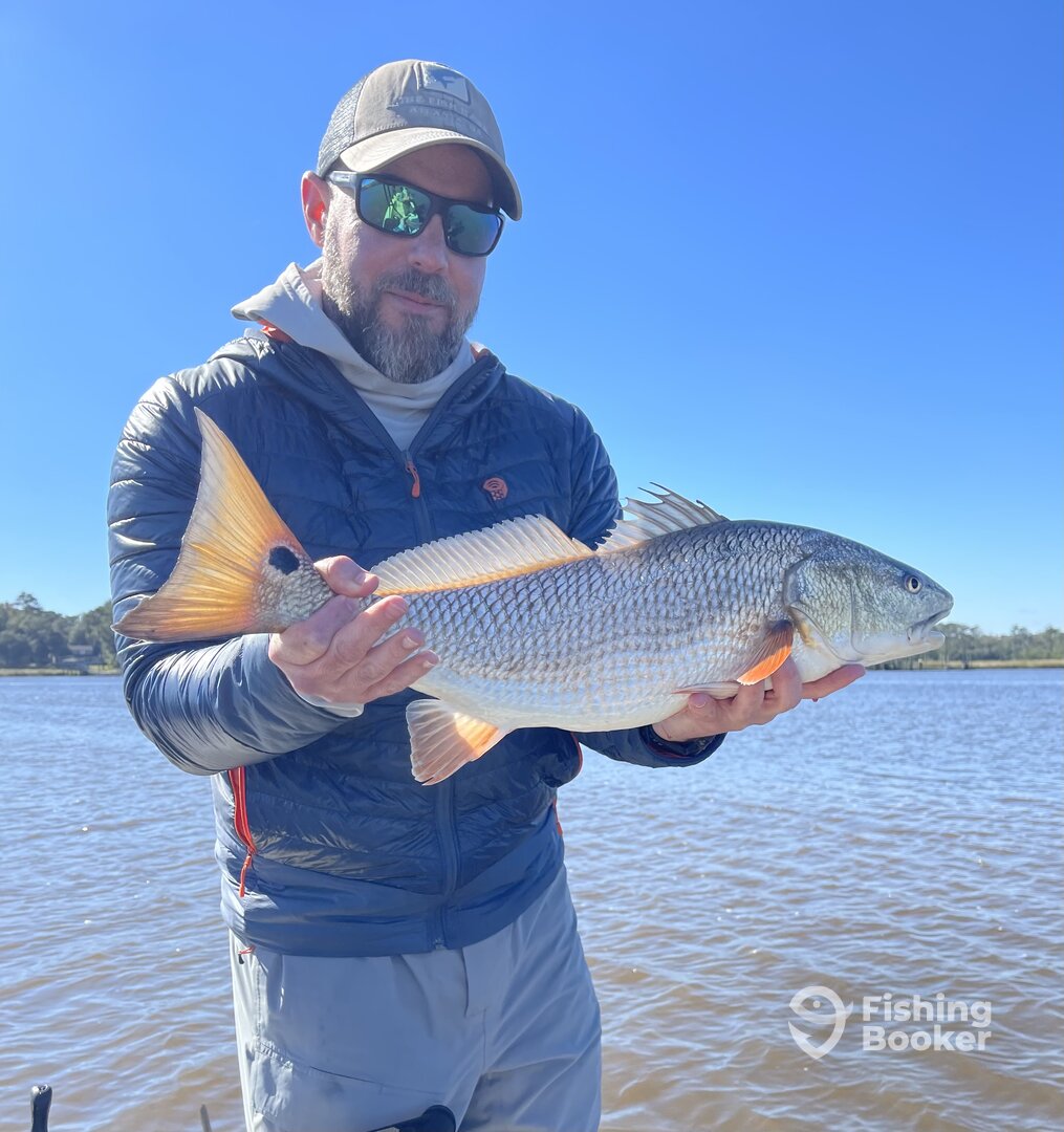 Savannah Report Photo 0