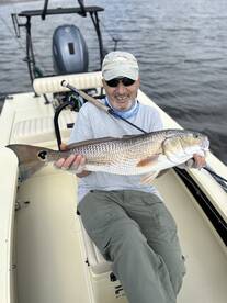 Savannah Report Photo 2