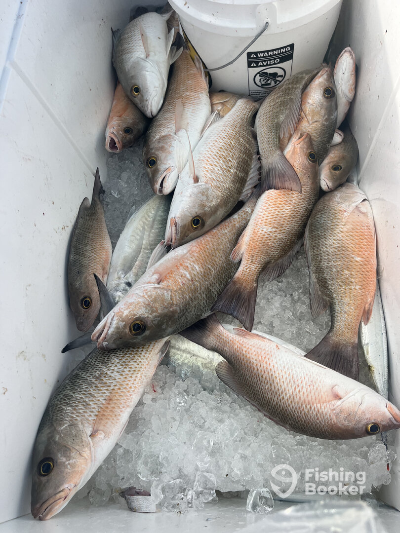 Marathon Report Photo 0