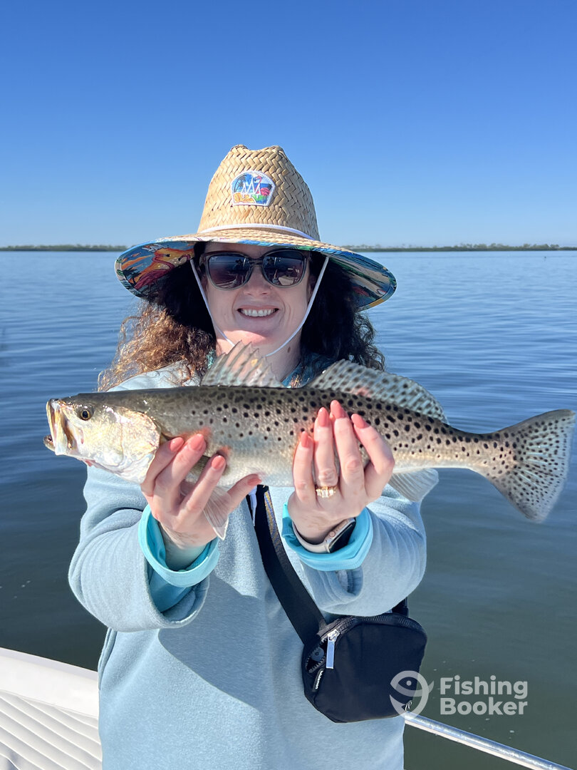 Tarpon Springs Report Photo 0