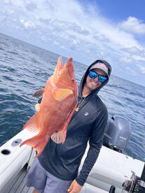 Shallow Water Snapper 