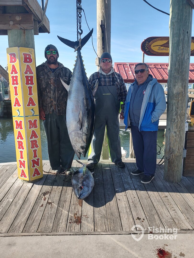 Ocean City Report Photo 0