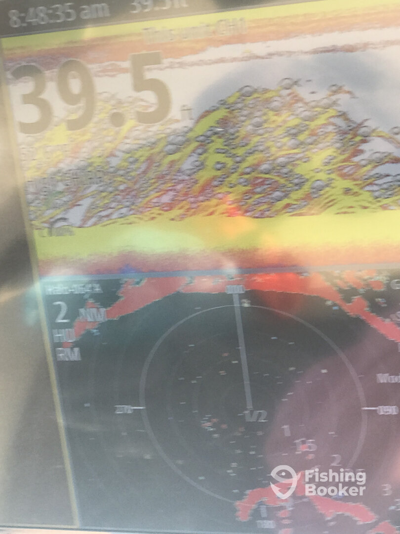 Reedville Report Photo 0