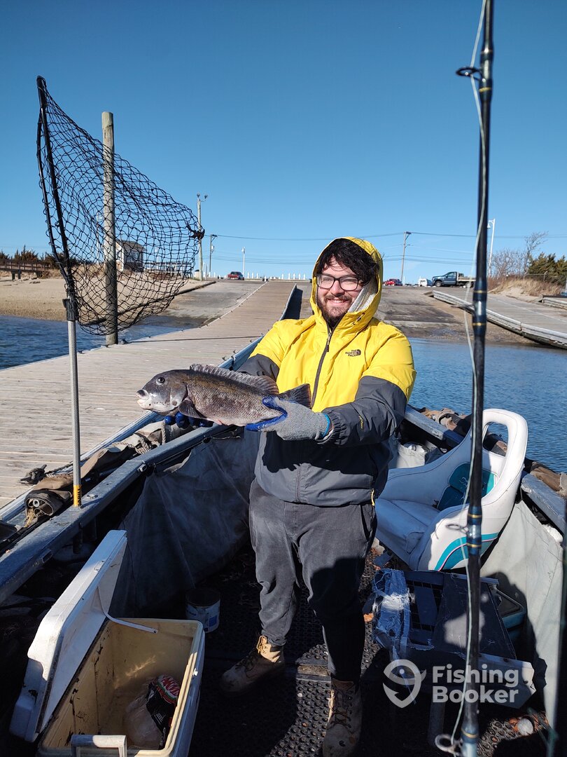 Mastic Report Photo 0