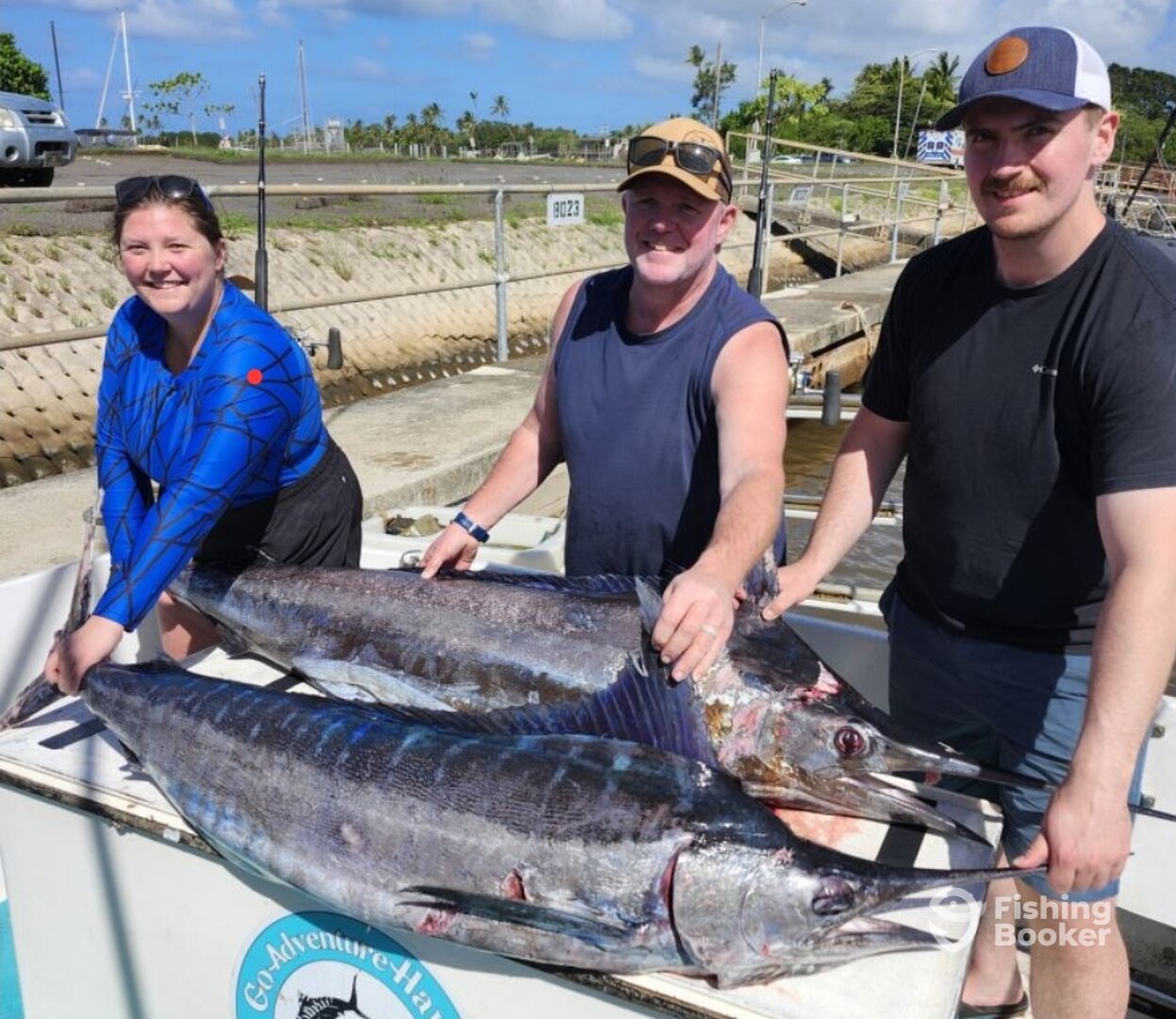 Haleiwa Report Photo 0