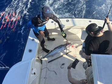 Family group hook up. 