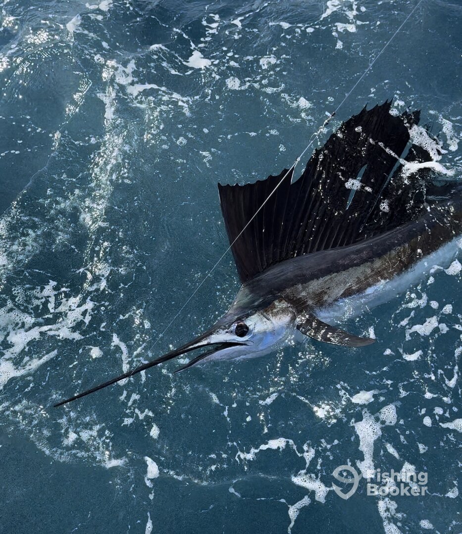 San Juan Report Photo 0