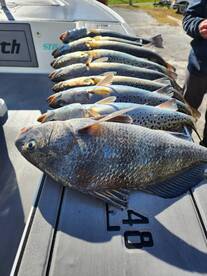 Winter fishing is on fire