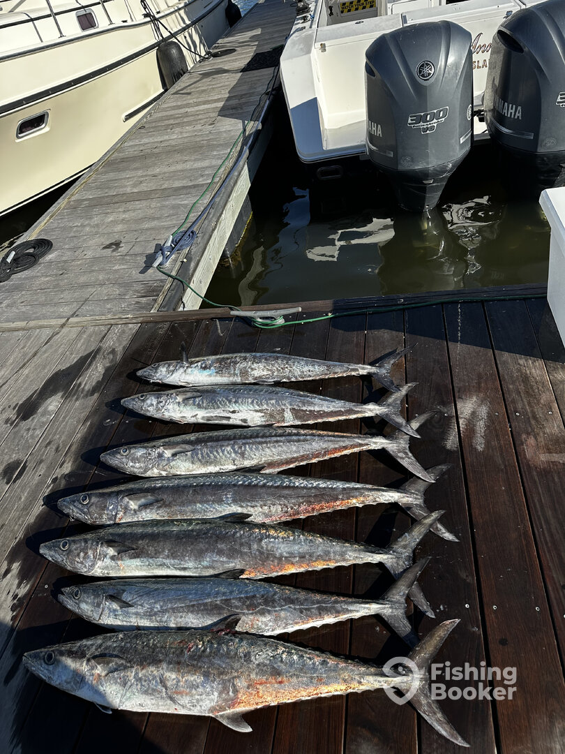 Southport Report Photo 0