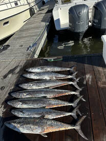 Late fall fishing is on fire!