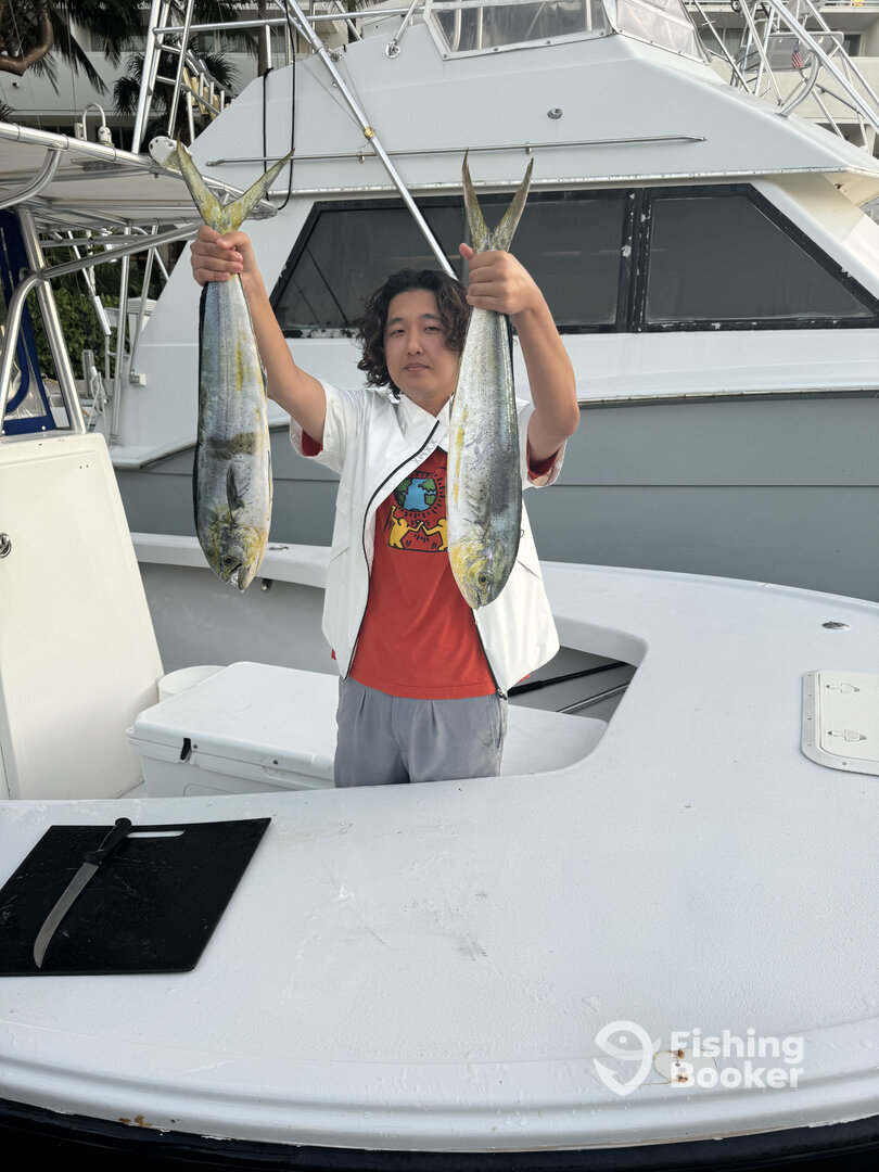 Fort Lauderdale Report Photo 0