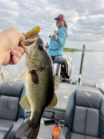 Branson Report Photo 2