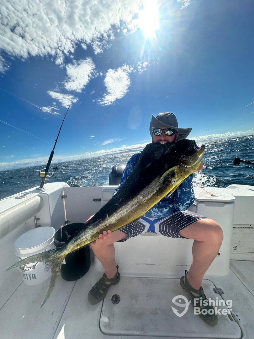 Playa Flamingo Report Photo 0