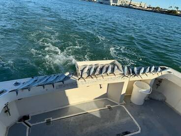 3 hour mackerel  trips on fire.